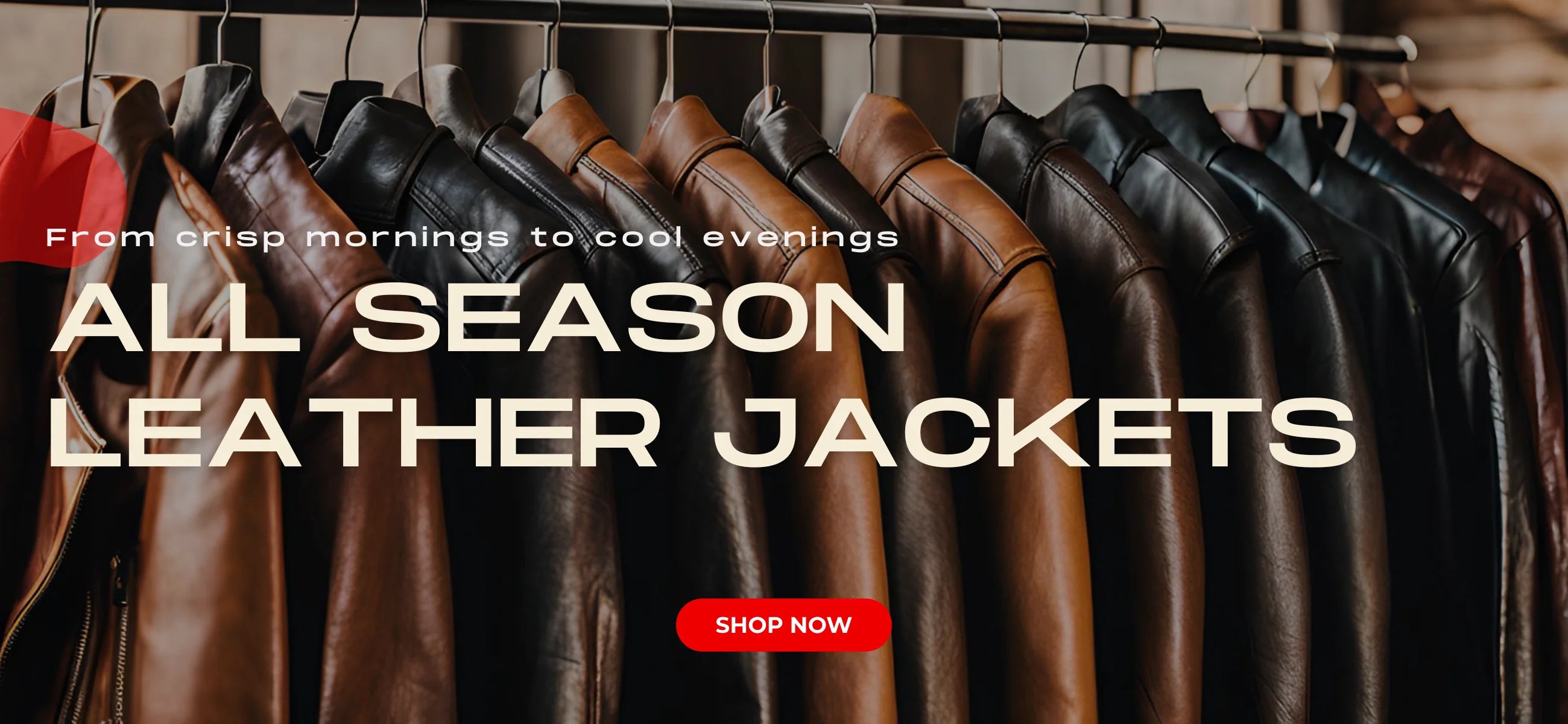 Trendy Jacket