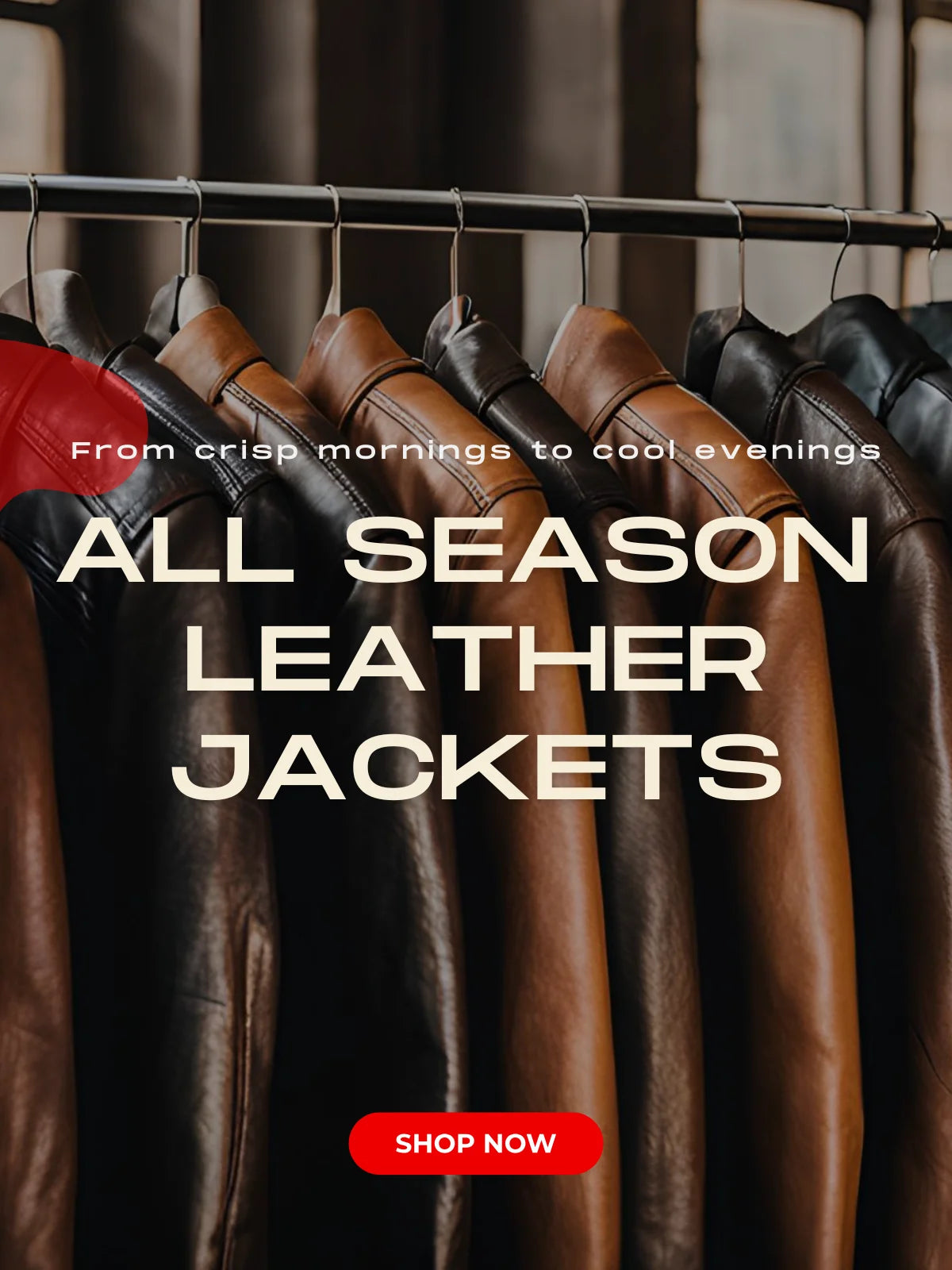 Trendy Jacket